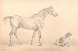 Portretten van een grijs paard en een zwart-witte spaniël, eigendom van de Right Honorable C. Arbu...